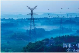 北京：電線(xiàn)桿頭掛小熊 電網(wǎng)驅(qū)鳥(niǎo)出新招