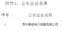 《關(guān)于貴州粵能電力銷售有限公司注冊(cè)成為貴州省電力自主交易市場(chǎng)主體相關(guān)信息的公示》