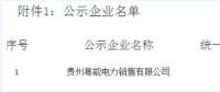 貴州新公示1家售電公司 貴州粵能電力銷(xiāo)售有限公司