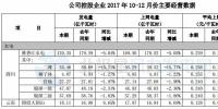 國投電力2017年發(fā)電量1289.49億千瓦時(shí) 同比增長(zhǎng)7.07%