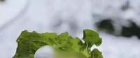 氣荒之后，又輪到了電煤供給的緊張局面