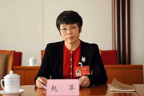 東方風(fēng)電趙萍：海上風(fēng)機(jī)大型化是趨勢(shì)，中國已落后一步