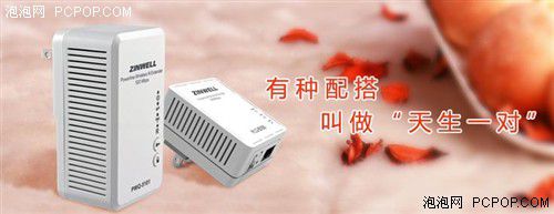 電力貓的版本眾多，從電力線傳輸技術(shù)上就可以分為HomePlug和G.hn，采用相同電力線通信技術(shù)的電力貓還可以分為有線電力貓和無線電力貓，而在無線電力貓中還有無線AP和無線路由的區(qū)別。外觀功能上的區(qū)別就更大了，以ZINWELL為例，就先后推出了單口有線電力貓，帶電源延長線的電力貓，多口有線電力貓，電力貓無線路由器，無線AP電力貓，帶電源插座的電力貓等。
