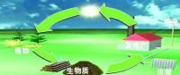 生物質(zhì)是替代核電、火電 彌補(bǔ)天然氣缺口的一種重要新能源