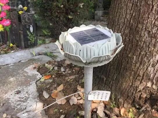 墓地傳來哭聲 周圍卻沒有人影 清明節(jié)你被光伏嚇著了嗎？