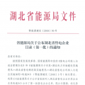 湖北省首批68家售電公司通過公示！4月20日前辦理注冊手續(xù)