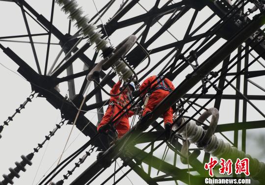圖為電力工人在70多米高空作業(yè)，為特高壓復(fù)奉線重慶段進(jìn)行八年來首次大修?！≈芤?攝