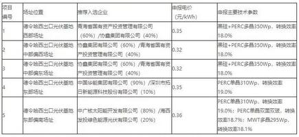18家企業(yè)10個光伏應(yīng)用領(lǐng)跑基地中標(biāo)情況