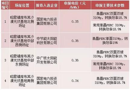 18家企業(yè)10個光伏應(yīng)用領(lǐng)跑基地中標(biāo)情況