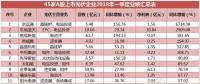 一季度45家光伏企業(yè)業(yè)績榜單登場：超八成飄紅，兩級分化現(xiàn)象嚴重