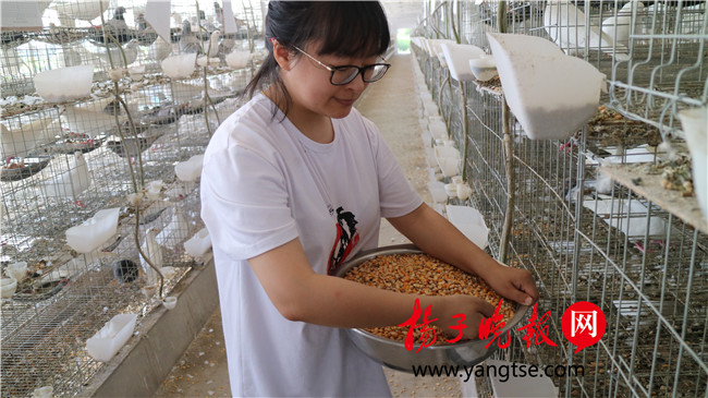 一個(gè)“80”后研究生的“綠色農(nóng)業(yè)夢(mèng)”：用“互聯(lián)網(wǎng)+”思維做農(nóng)業(yè)，新型職業(yè)農(nóng)民“潮”起來(lái)