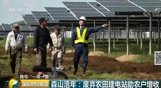 中國央企用光伏帶日本農(nóng)民致富！10倍租金盤活荒廢農(nóng)地