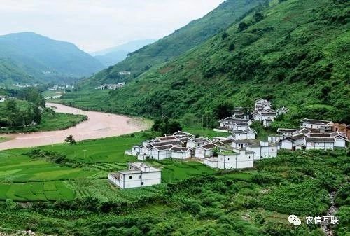 移動互聯(lián)網(wǎng)走進(jìn)農(nóng)村，推動農(nóng)業(yè)產(chǎn)業(yè)的智慧化轉(zhuǎn)型升級 