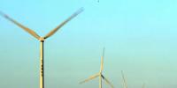 龍源中能公司新獲一項海上風(fēng)電實用新型<font color=