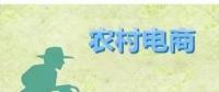 為何農(nóng)村電商這么火？未來3大看點隱藏千億級財富