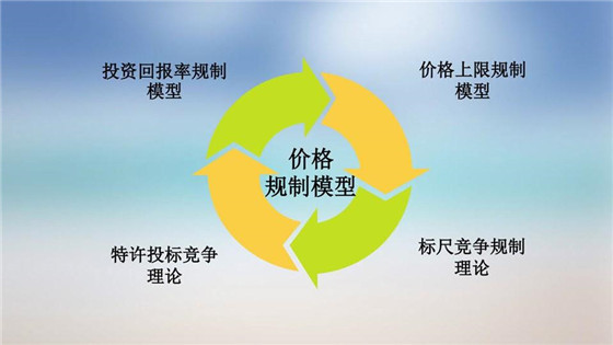 我國電力價格規(guī)制現(xiàn)狀、存在的問題及原因分析
