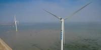 天津南港海上風(fēng)電場一期首批風(fēng)力發(fā)電機<font color=