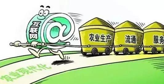 2018年農(nóng)村電商巨頭卡位戰(zhàn)：互聯(lián)網(wǎng)+農(nóng)業(yè)新玩法！