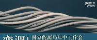 變調(diào)！國家能源局年中工作會透露出5方面變化