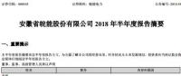 半年報丨皖能電力上半年?duì)I業(yè)收入58.66億元