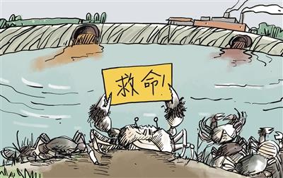 上游污水“毒死”萬畝大閘蟹，誰擔(dān)其責(zé)？