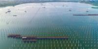 泗洪光伏發(fā)電應(yīng)用領(lǐng)跑基地2、4號(hào)漁光互補(bǔ)<font color=