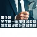 審計署：關(guān)于進(jìn)一步加強(qiáng)減稅降費(fèi)政策措施落實情況審計監(jiān)督的意見