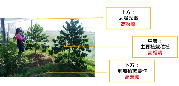 后補貼時代 “架高、一地多用”助力光伏平價上網(wǎng)