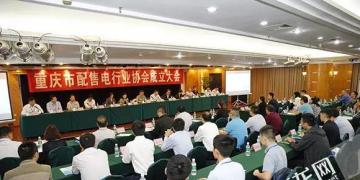 重慶市配售電行業(yè)協(xié)會成立 推動售電側改革促進行業(yè)發(fā)展