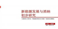 PPT|國家電網 張啟平：新能源發(fā)展與消納初步研究