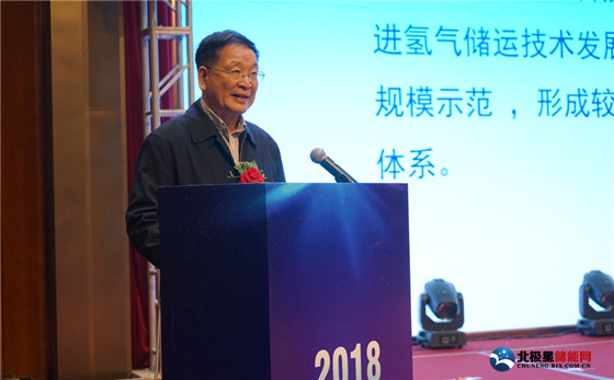 中國(guó)能源研究會(huì)副秘書長(zhǎng)王凡.jpg