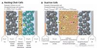 鋰離子電池的掘墓者們：雙離子電池