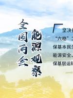 讀圖｜2020政府工作報(bào)告中這些內(nèi)容，和能源電力有關(guān)！