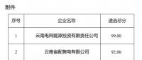 2025年云南電力市場保底售電公司候選名單公示！